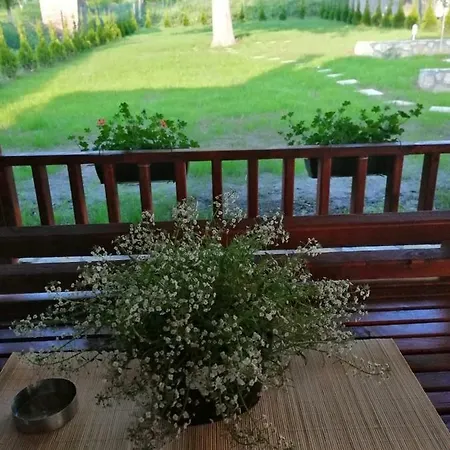Apartment Bojana