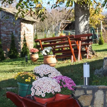 Apartment Bojana Vrdnik