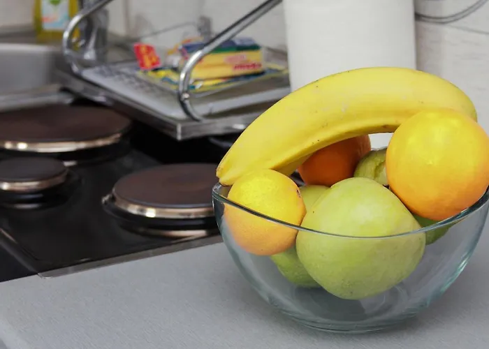 아파트 Bojana 브르드니크