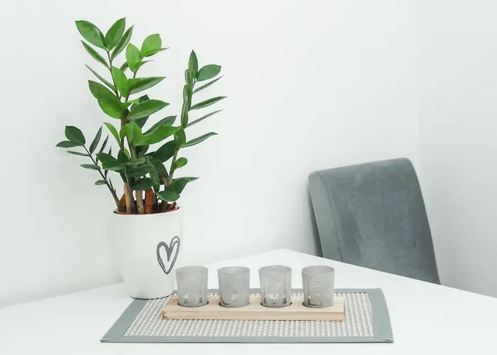 Bojana ヴルドニーク