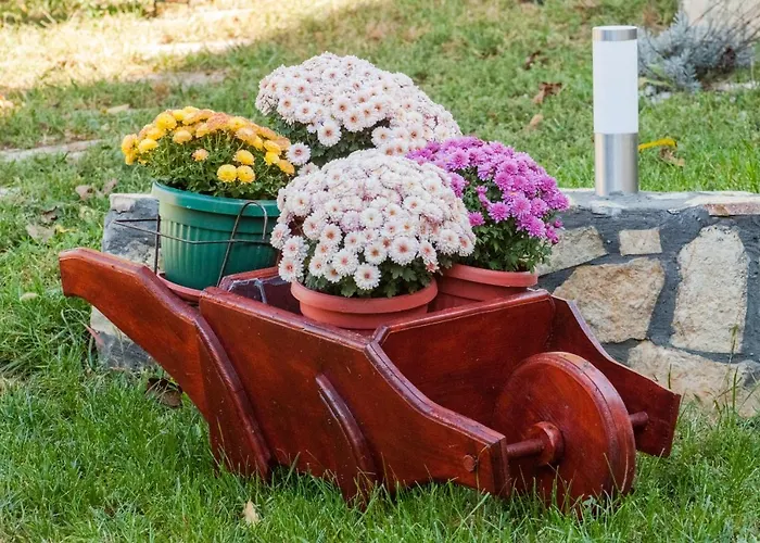 Bojana * ヴルドニーク