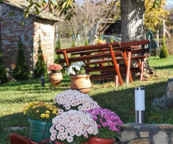 アパート Bojana ヴルドニーク